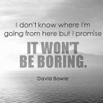 I don't know where I'm going from here, but I promise, it won't be boring ~ David Bowie