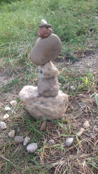 Bouwsel in de natuur 1