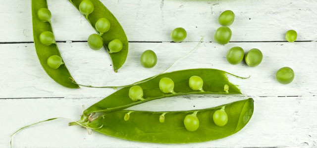 Peas on earth ;)